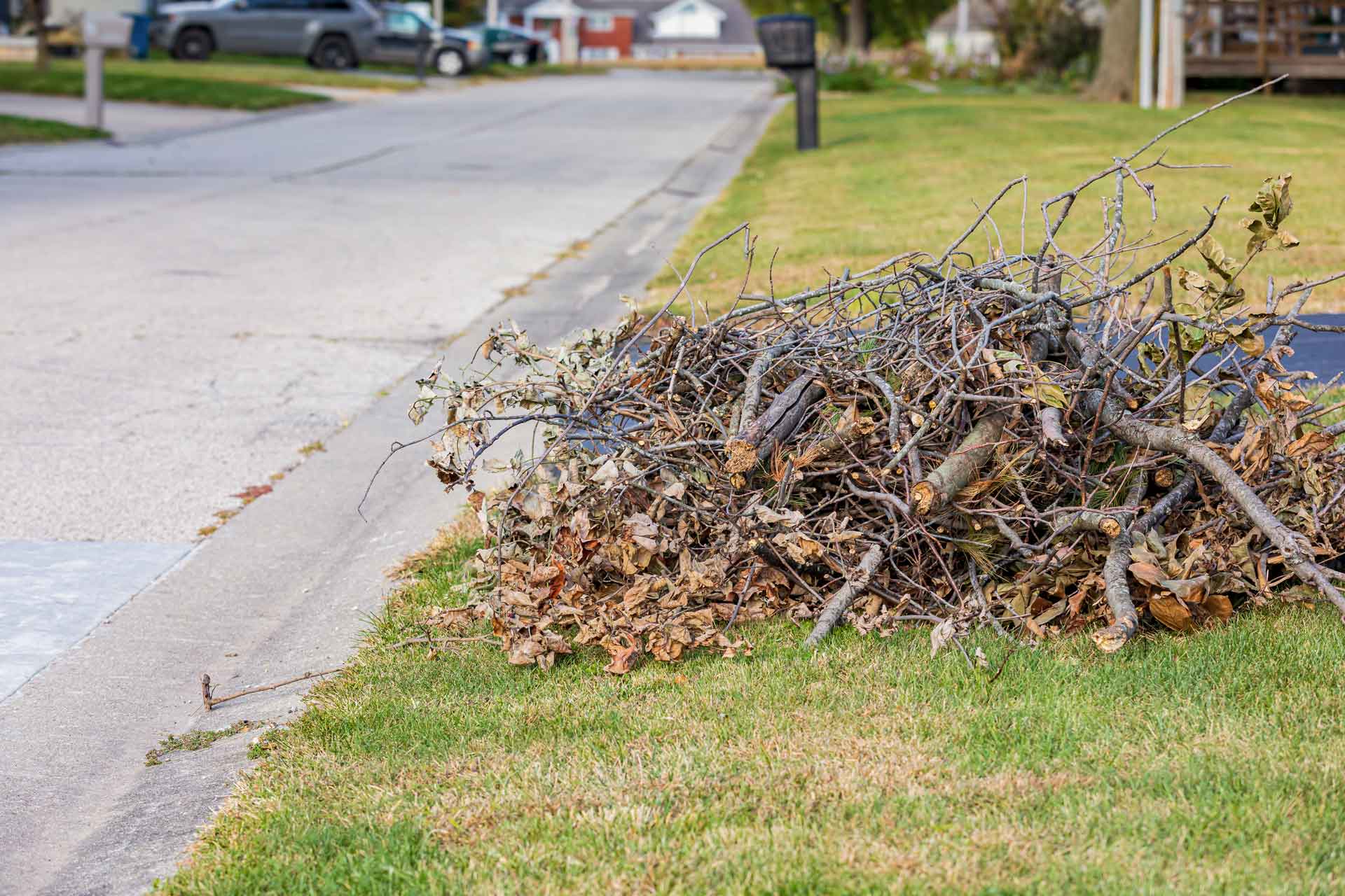 Pile of sticks, leaves, and yard waste by curb